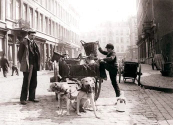 Jongen met hondenkar, Antwerpen, 1898