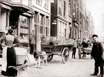 Hondenkar, Antwerpen, 1898
