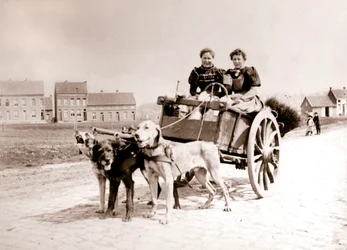 Honden trekken vrouwen op een kar, Antwerpen, 1898.