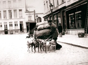 Man met hondenkar, Antwerpen, 1898