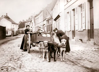 Vrouwen en hondenkar, Antwerpen, 1898