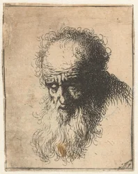 Borstbeeld van een oude man met een golvende baard: het hoofd voorovergebogen: linkerschouder ongeschaduwd