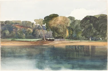 Landschap met bomen en water