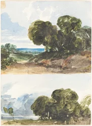 Twee Schetsen van Bomen