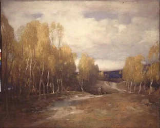 Heidelandschap