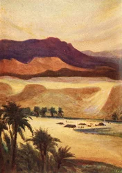 Een Palestijns kamp bij Elim - Heb. xiii. 11