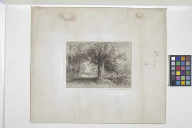 Landschap