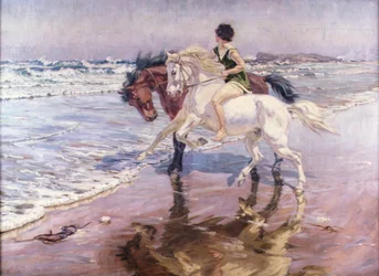 Een Rit op het Strand
