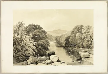 Esdoorn, Es en Eik, uit Het Park en het Bos