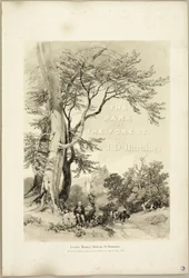 Beuk en Eik (Frontispice), uit Het Park en het Bos