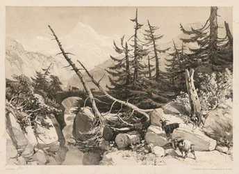 Pijnbomen en brug, 1841