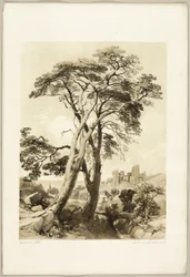 Grove Den, uit Het Park en het Bos