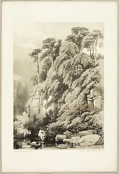 Wych Elm en Sparren, uit Het Park en het Bos