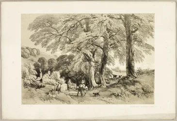 Wych Elm, uit Het park en het bos