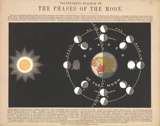Transparant diagram van de fasen van de maan