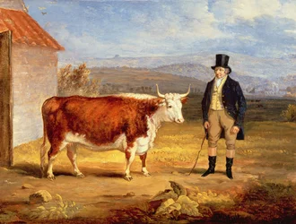 Mr James Hodges en zijn Tweejarige Hereford Koe, c.1843