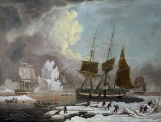 Hull Walvisvaarder, 