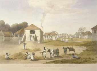 Mill Yard, Holland Estate, St. Thomas in the East