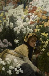 Chrysanten