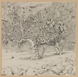 Vijgenboom, Vallei van Hinnom, illustratie uit Het Leven van Onze Heer Jezus Christus