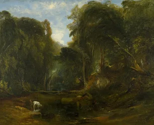 Nachtegaalvallei
