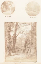 De Benadering, In het Bos, Bij het Meer