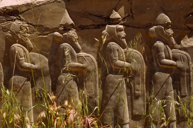 Bas-reliëf van oude Perzische krijgers bij de ingang van Persepolis. Persepolis, Iran.