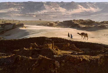 Kameel met leden van zoutkaravaan steekt een woestijnplateau over in BILMA, NIGER