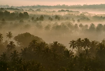 Vroege ochtendmist over oud Goa landschap bij zonsopgang. Oud Goa, Goa, India