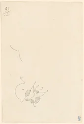 Vlinder