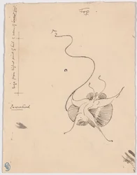 Vlinder "Encountered" (recto); Schets voor staartstuk (verso)