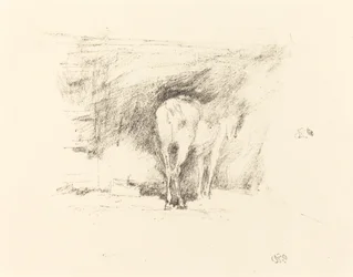 Studie van een paard