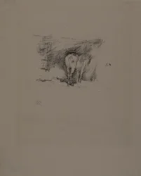 Studie van een paard