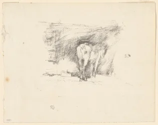 Studie van een Paard