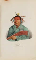 WAA-TOP-E-NOT of het adelaarsbed; een vossenopperhoofd, uit de Aboriginal Portfolio