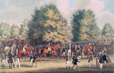 Epsom, zadelen in de Warren