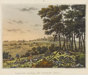 Hougoumont - zicht op het bos rond het kasteel, uit 