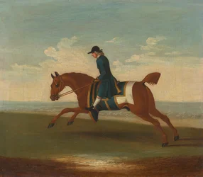 Een van vier portretten van paarden - een kastanjebruin renpaard getraind door een trainer in een blauwe jas: galopperend naar links, het paard draagt een blauwe zweetdeken en zadeldoek met gouden rand