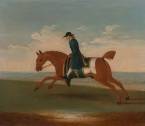 Een van de vier portretten van paarden - een voskleurig renpaard getraind door een trainer in een blauwe jas: galopperend naar links, het paard draagt een blauwe zweetdoek en zadeldek omzoomd met goud.