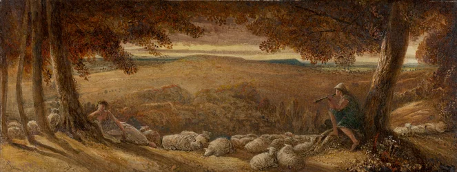 Avondweide