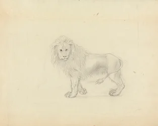 Een Leeuw