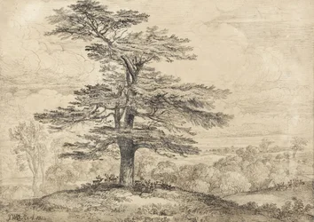 Een ceder op een heuvel met een kudde herten die zich onder zijn schaduw verzamelt