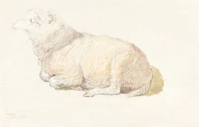 Een Rustend Schaap