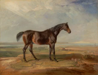 Dr. Syntax, een bay renpaard, staand in een kustlandschap, een estuarium daarachter
