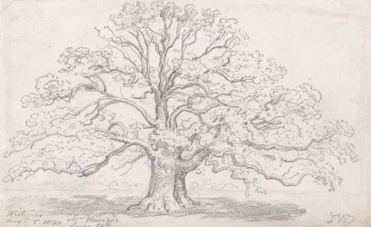 De grote eik van meneer Howard, 5 augustus 1820