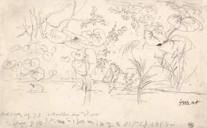 Studies van planten, 2 augustus 1815