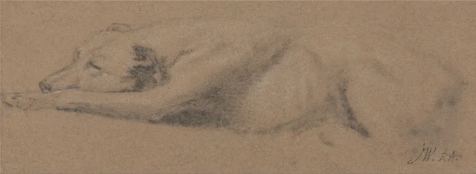 Studie van een slapende hond