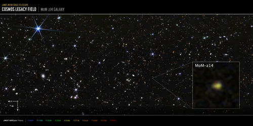 COSMOS-veld, sterrenstelsel op MoM-z14 (opname met NIRCam)