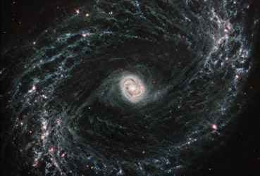 NGC 1433 (MIRI Beeld)