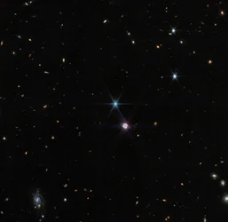 Neptunus Groothoek